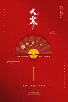 大寒大气海报