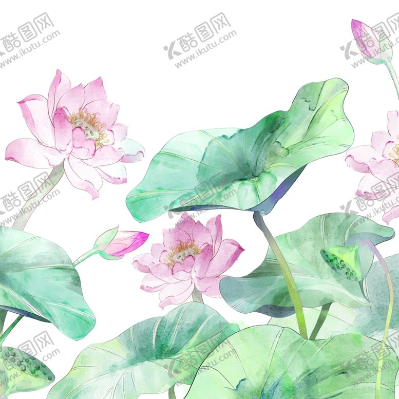 编号：36492509280228334983【酷图网】源文件下载-荷花莲花花苞荷叶水墨画熏染