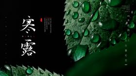 绿色清新24节气之寒露宣传海报