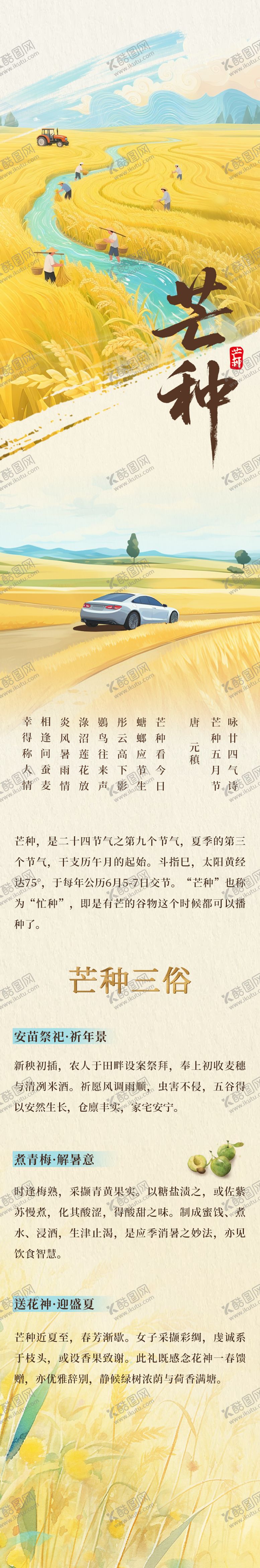 编号：46218106151938496246【酷图网】源文件下载-芒种习俗节气海报长图
