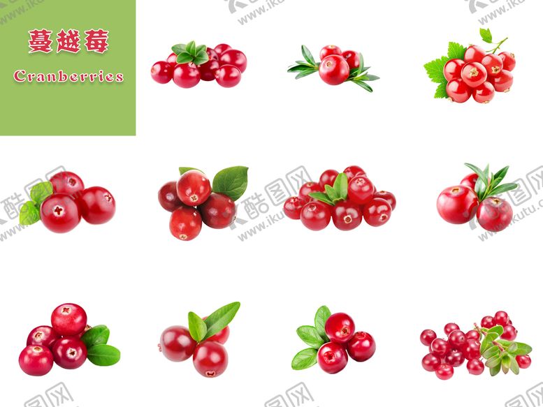 编号：06782109130229495178【酷图网】源文件下载-蔓越莓水果