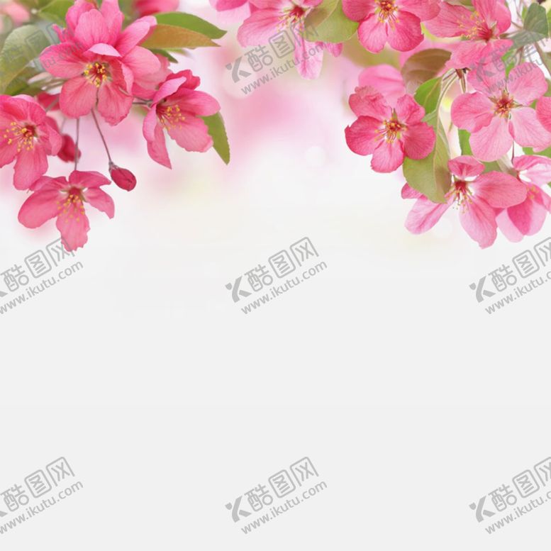 编号：15771605020615383722【酷图网】源文件下载-红色背景