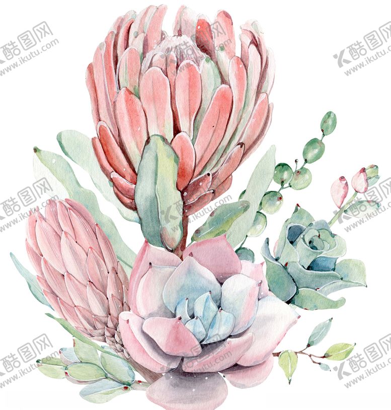 编号：45533605120407083204【酷图网】源文件下载-水彩多肉植物png素材