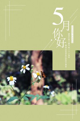 5月你好