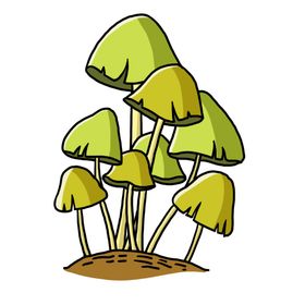 手绘棕色咖啡色绿色食物榛蘑蘑菇