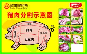 猪肉分割图