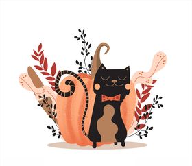 可爱闭眼黑猫和南瓜