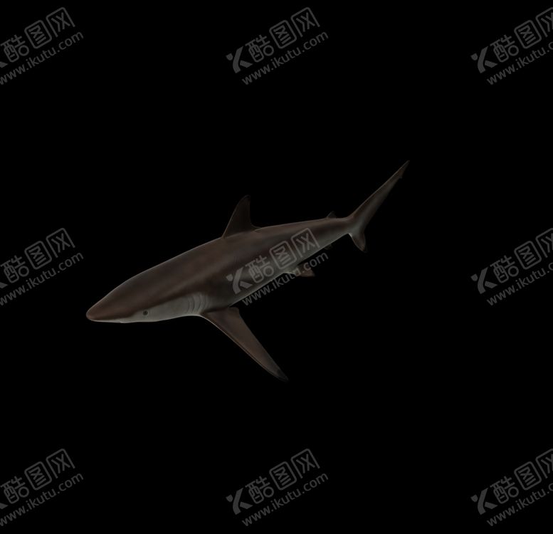 编号：96476007032348039242【酷图网】源文件下载-海洋生物