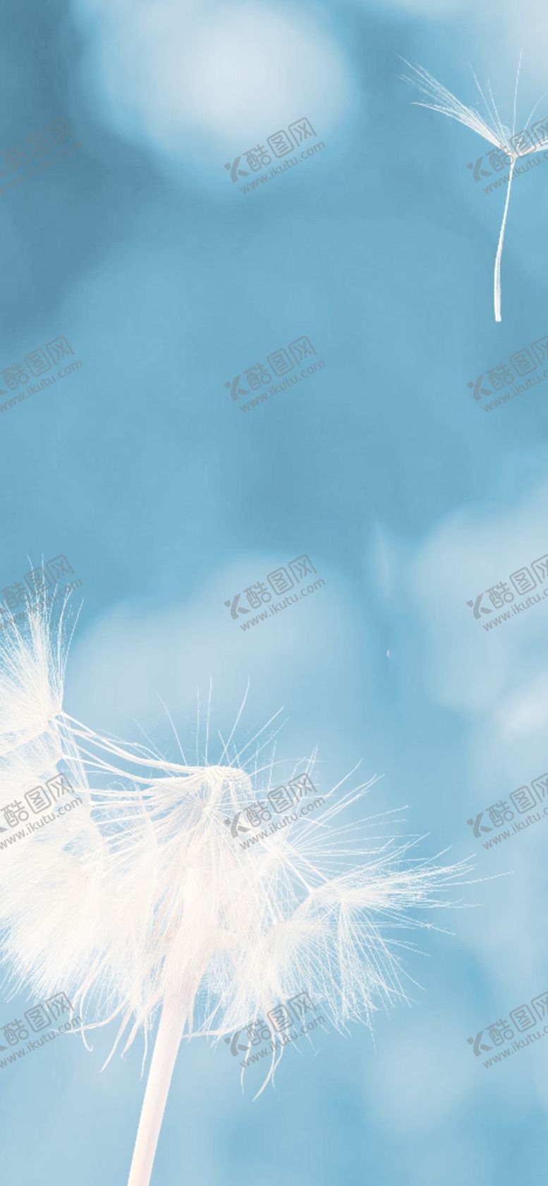 编号：34473409220134519895【酷图网】源文件下载-手机壁纸