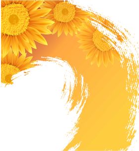 葵花