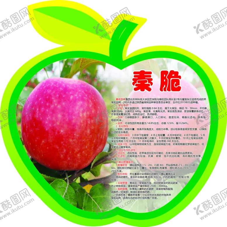 编号：98993101300051356916【酷图网】源文件下载-苹果简介