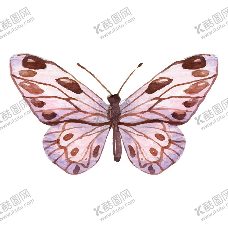 编号：29283407121648266550【酷图网】源文件下载-蝴蝶素材