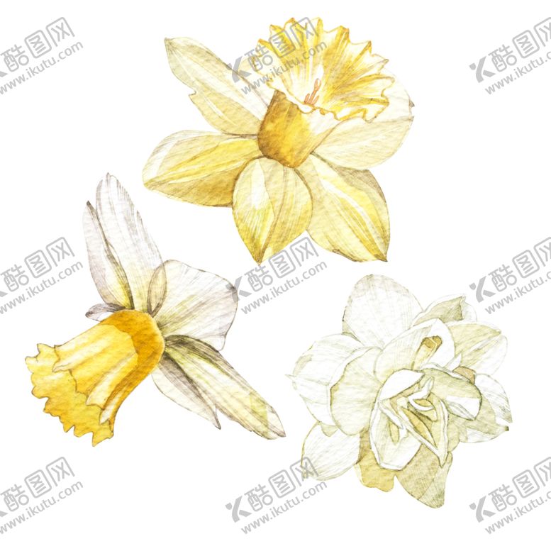 编号：47760309131648053853【酷图网】源文件下载-插画