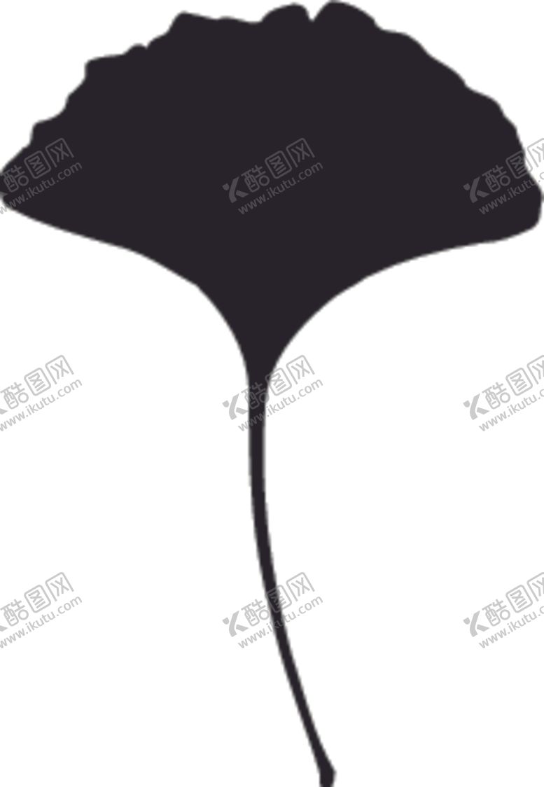 编号：42005307130010049225【酷图网】源文件下载-植物系列银杏树叶