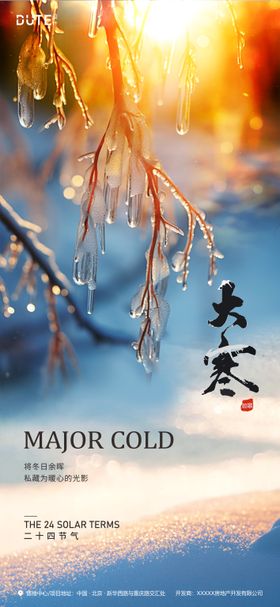 大寒节气海报二十四高级简约