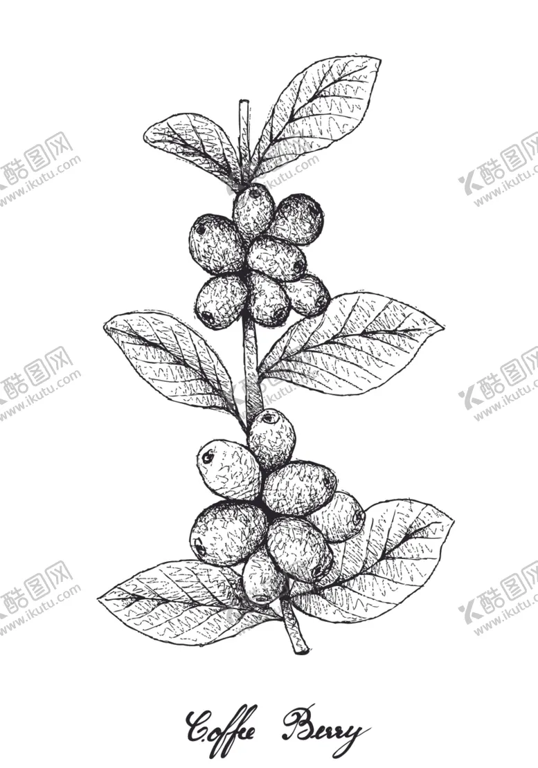 编号：78252507012108512232【酷图网】源文件下载-白描水果