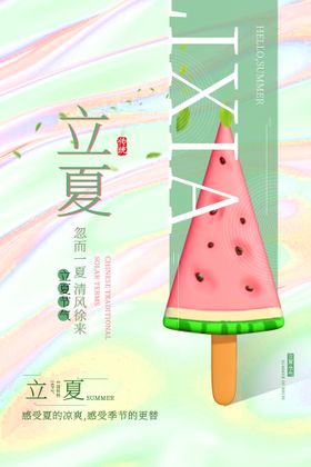 立夏传统节气海报荷叶