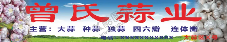 编号：30061212102139509441【酷图网】源文件下载-蔬菜背景蒜招牌
