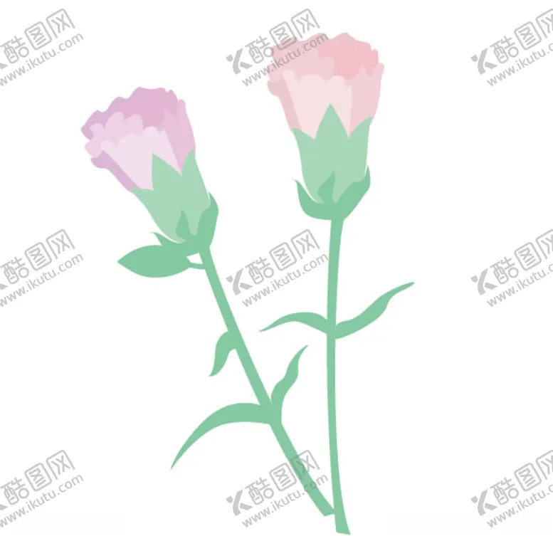 编号：13250606301341166637【酷图网】源文件下载-花康乃馨