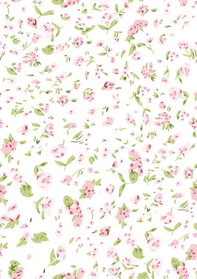 小碎花数码印玫瑰女装