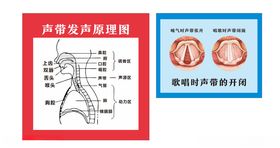 让爱发声