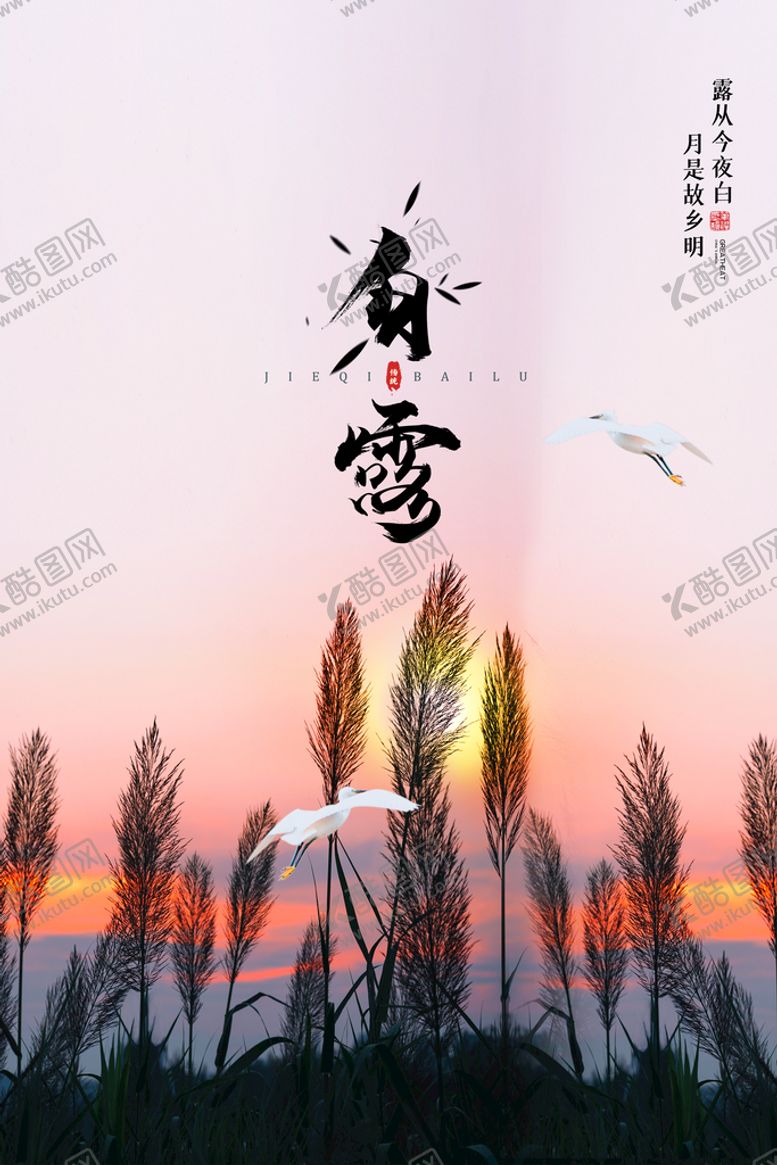 编号：97256010271647211382【酷图网】源文件下载-手绘中国传统24节气白露节海报