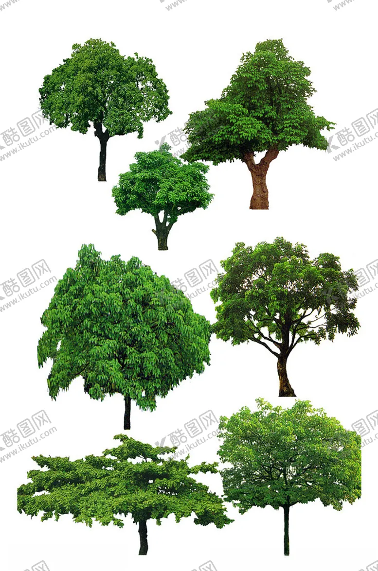 编号：28508802190419337517【酷图网】源文件下载-茂密树木免扣元素