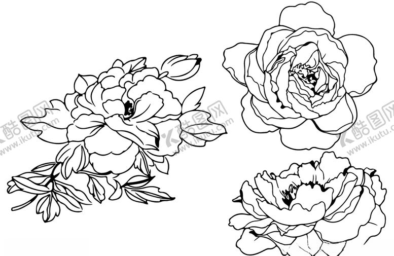 编号：96340309300908225962【酷图网】源文件下载-牡丹花线稿
