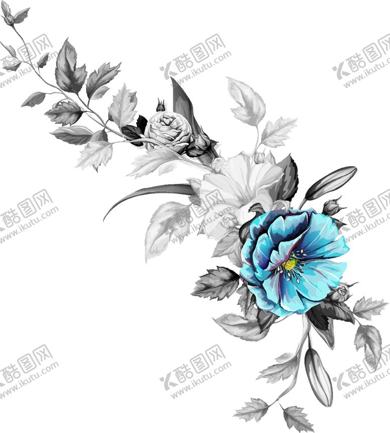 编号：37567603280224565475【酷图网】源文件下载-花卉热带花