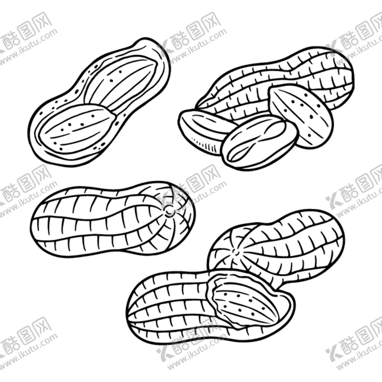 编号：63042012070422428758【酷图网】源文件下载-手绘花生轮廓图