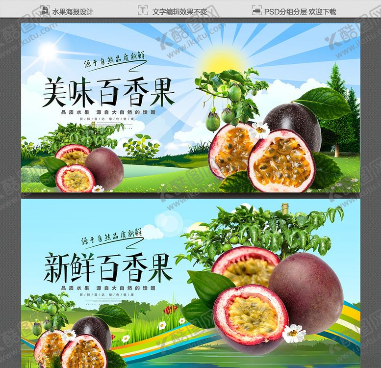 编号：47240906190110208653【酷图网】源文件下载-百香果