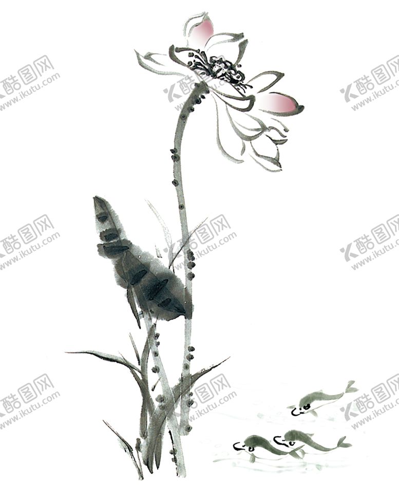 编号：80825010272158111634【酷图网】源文件下载-水墨荷花粉色荷花荷花意境