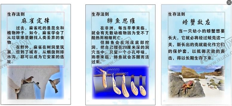 编号：27013302211555078472【酷图网】源文件下载-生存法则