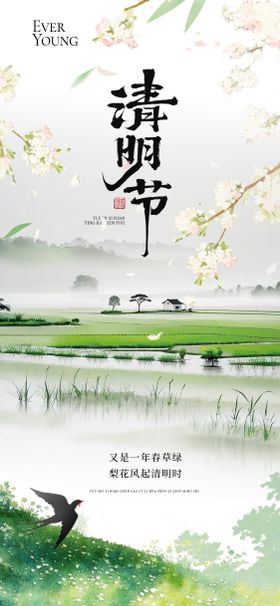 清明节节气海报