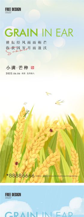 芒种小满插画系列海报