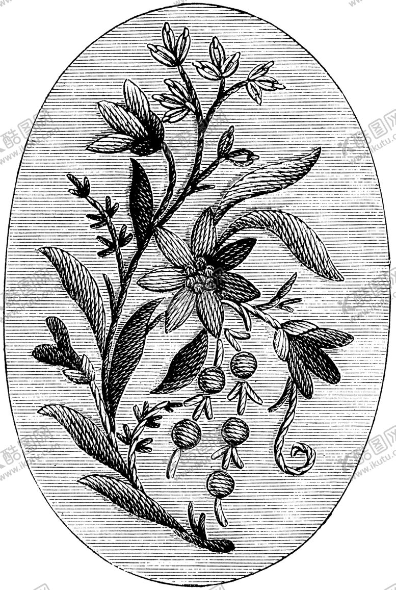 编号：24641609101139223743【酷图网】源文件下载-花纹底纹边纹背景图片