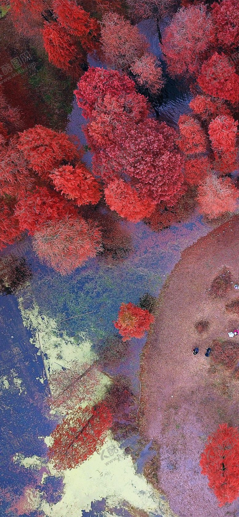 编号：99154509150044399393【酷图网】源文件下载-手机壁纸