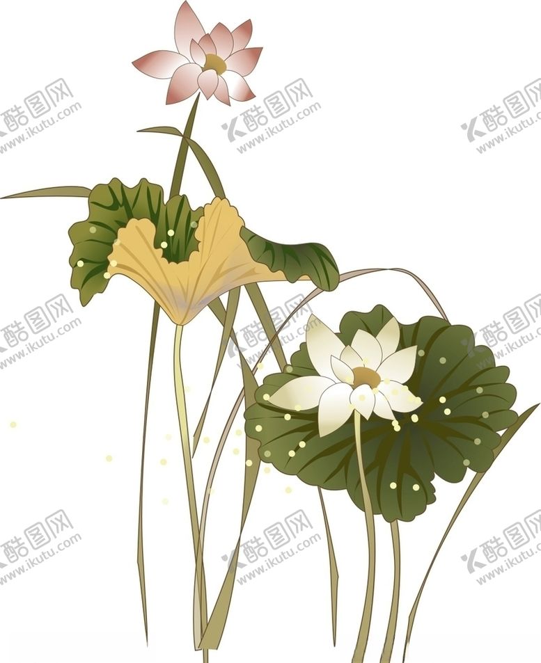 编号：61894510072028216540【酷图网】源文件下载-荷花莲花