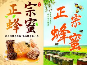 正宗蜂蜜
