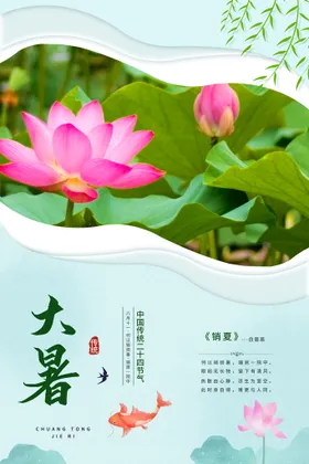 二十四节气大暑海报插画