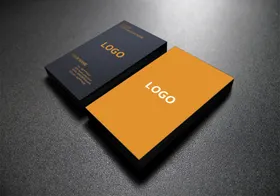 名片样机logoVI高端
