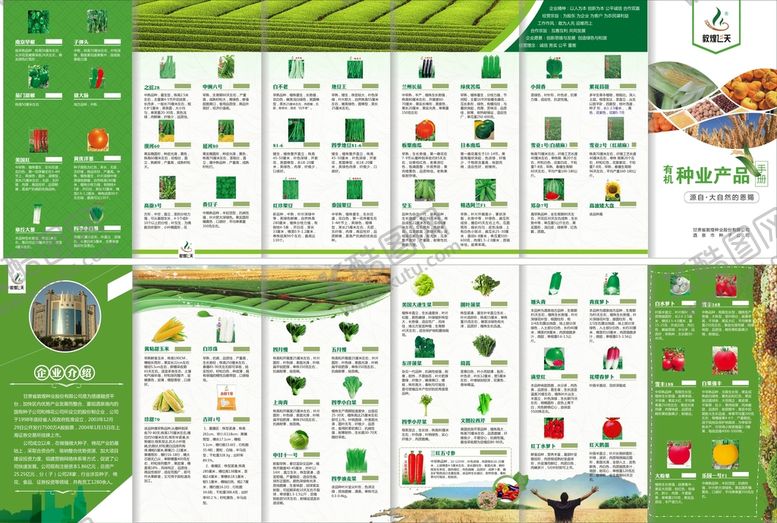 编号：51397412102314262164【酷图网】源文件下载-种业产品折页