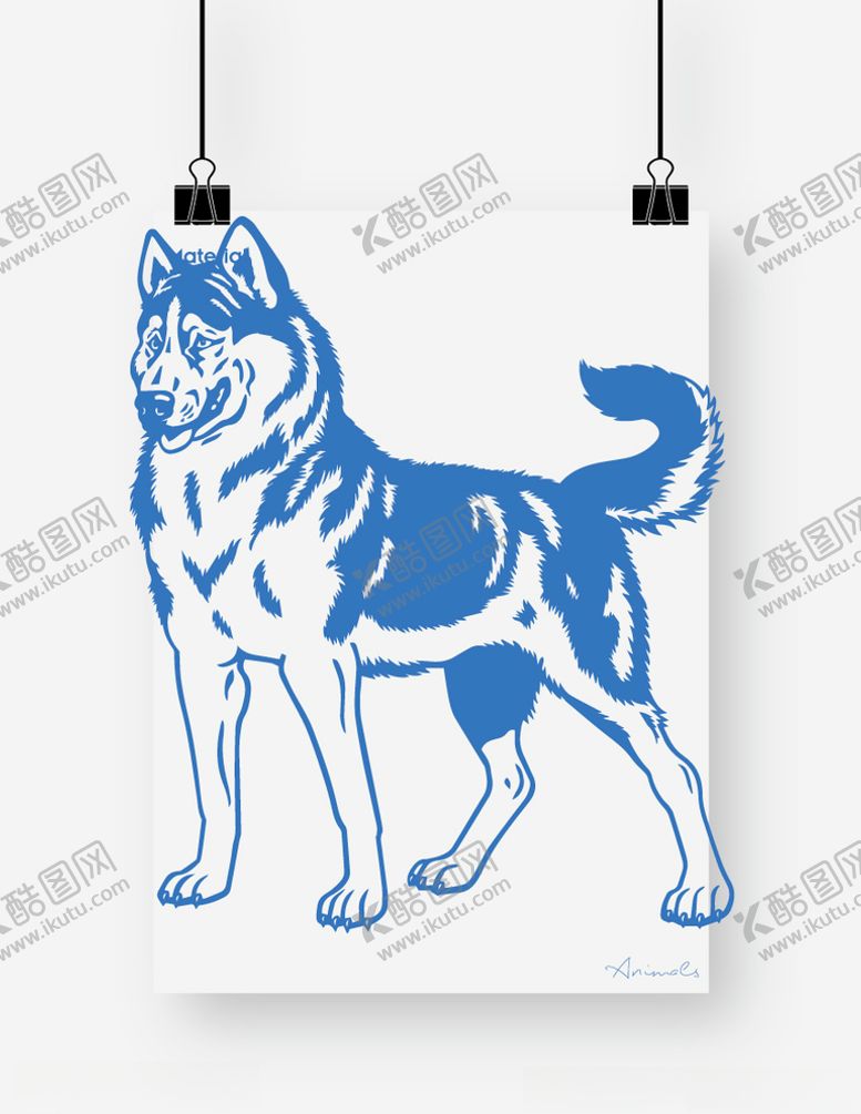 编号：53051704151117186994【酷图网】源文件下载-阿拉斯加犬