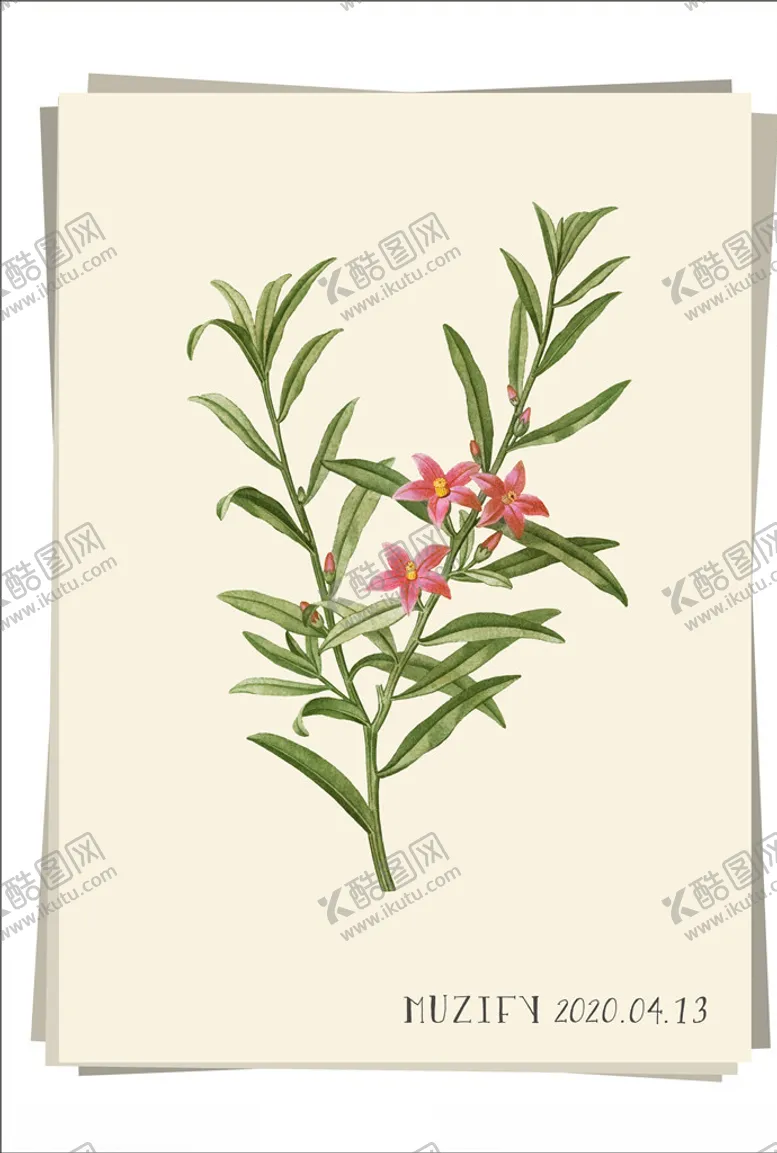 编号：61678607030146479190【酷图网】源文件下载-克罗威花植物图鉴
