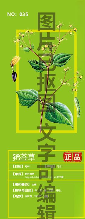 豨莶草