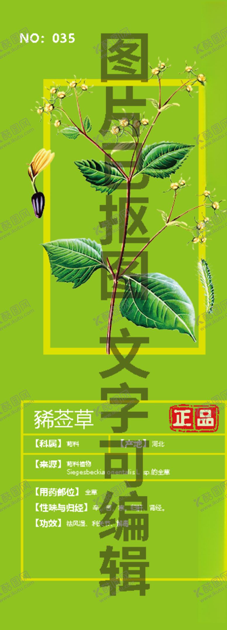 编号：51505705051047248283【酷图网】源文件下载-豨莶草