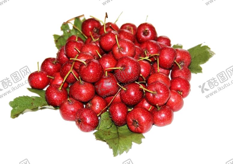 编号：50664210130531494517【酷图网】源文件下载-山楂