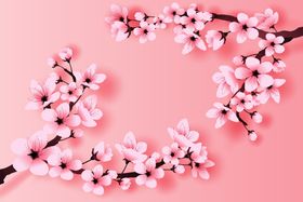 樱花素材