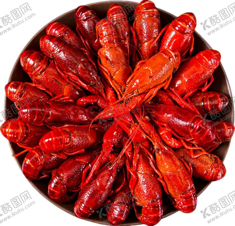 编号：78969809182322028428【酷图网】源文件下载-小龙虾