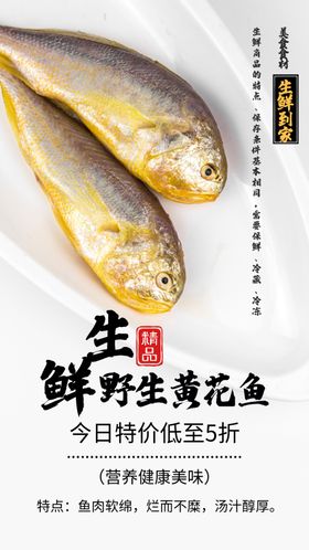 生鲜黄花鱼冷冻食材摄影海报